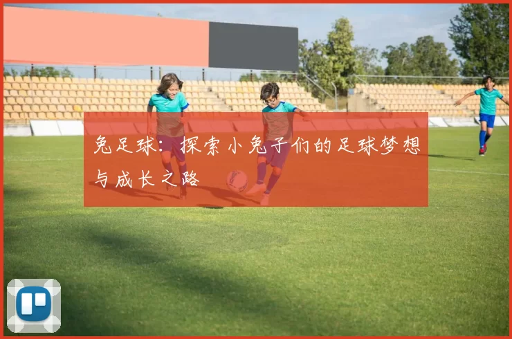 兔足球：探索小兔子们的足球梦想与成长之路