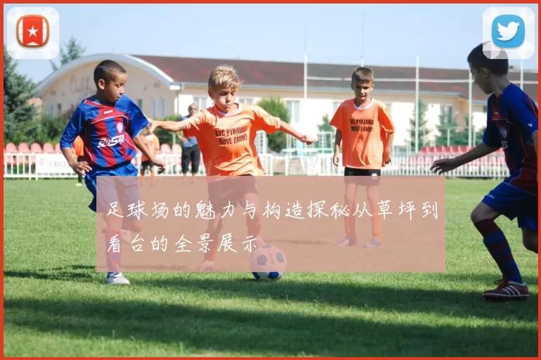 足球场的魅力与构造探秘从草坪到看台的全景展示