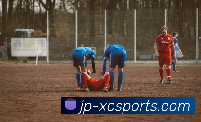 杏彩体育发展历程